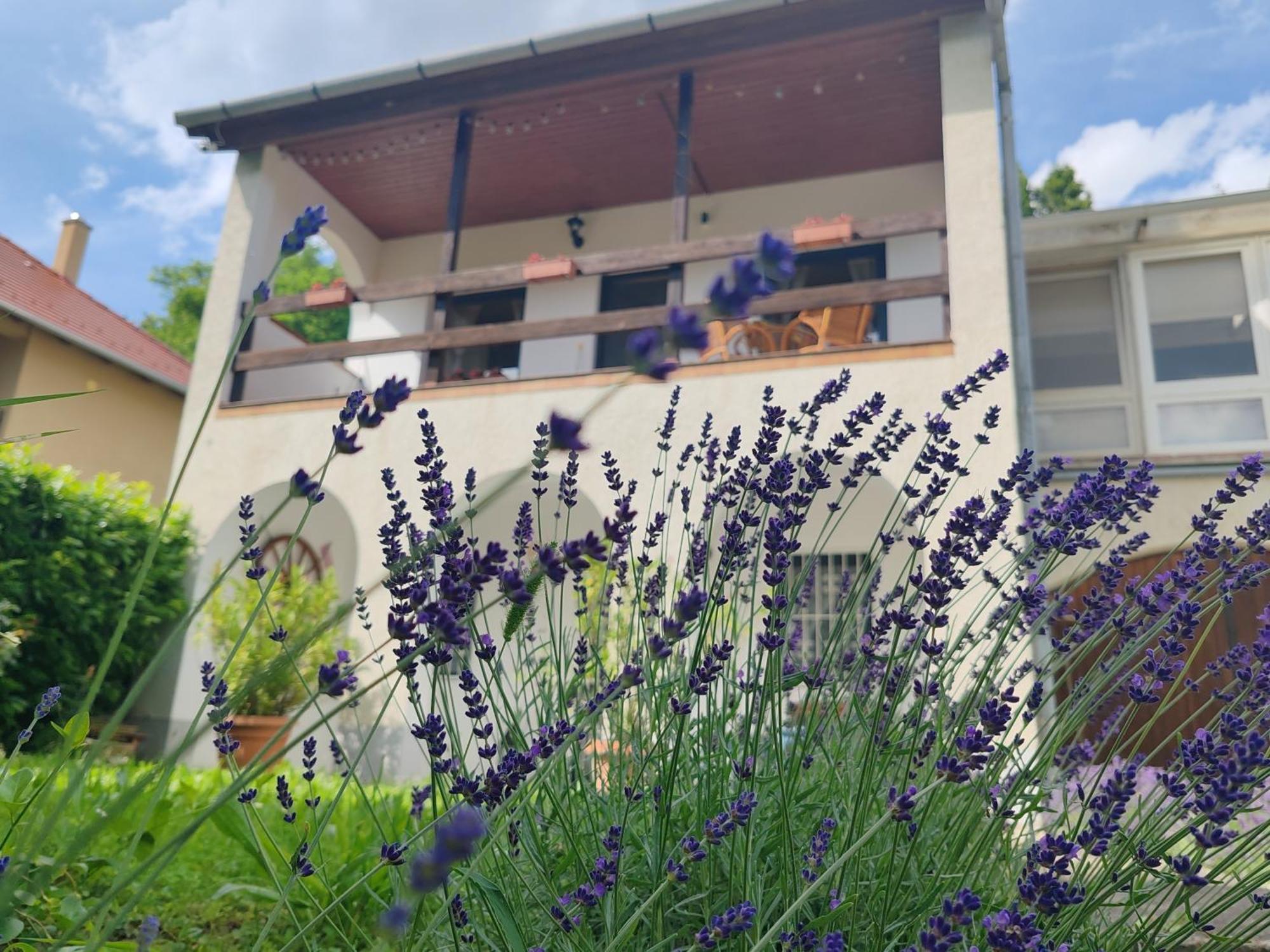 Ferienwohnung Meszi Vendeghaz Zalacsány Exterior foto